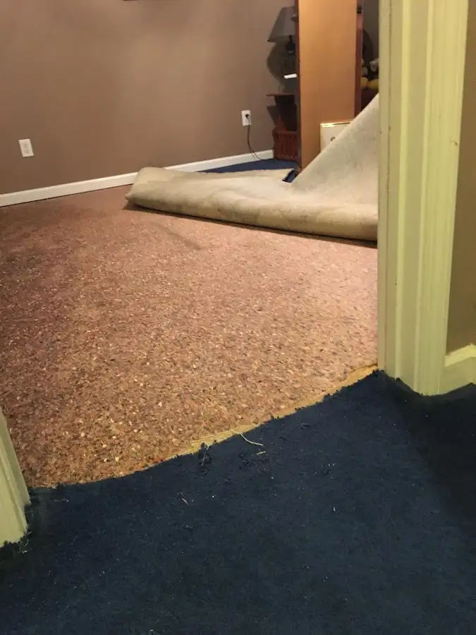 Carpet pad removal revealing water damage during Water Mitigation Services in Pennfield