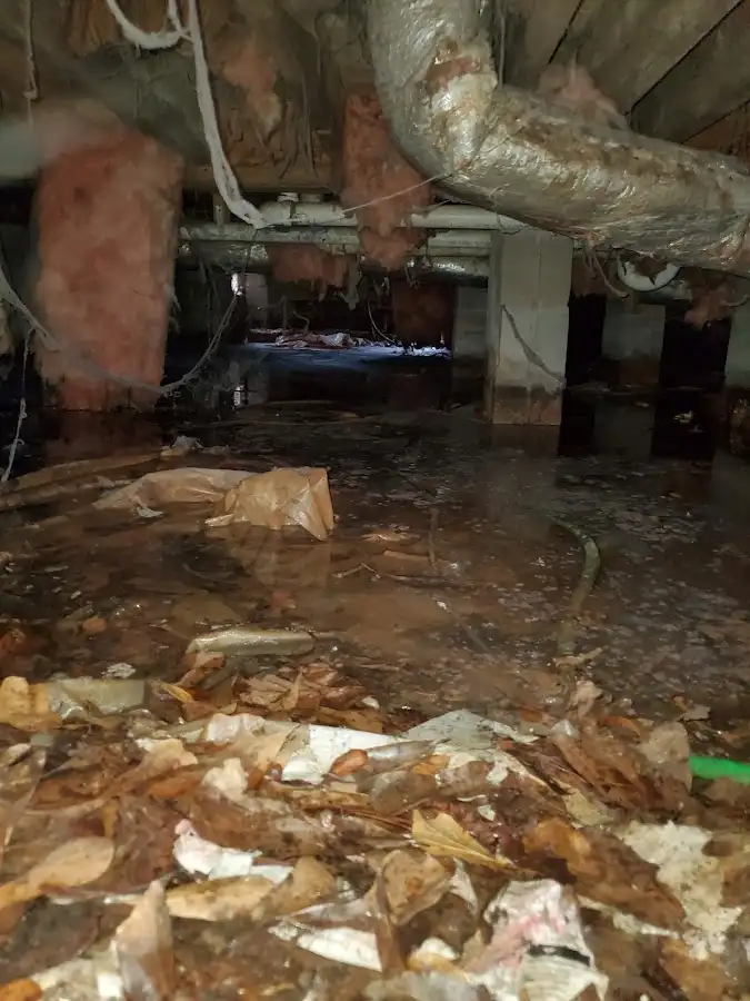 Crawl space flood assessment for Leak Detection & Repair in Pennfield