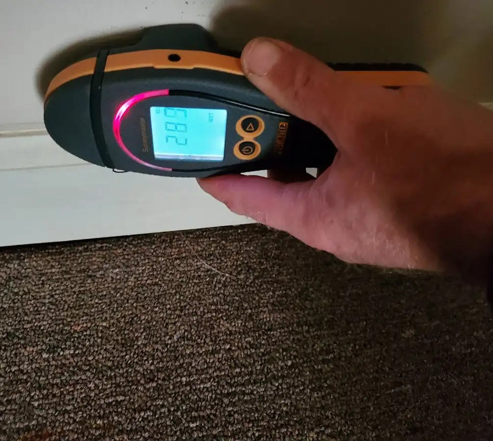 Moisture detection at baseboard during Mold Inspection & Testing in Pennfield